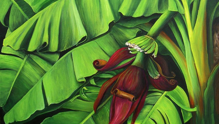 Un disegno di albero di banana